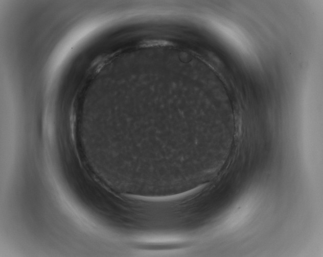 X0000113851151200909241242