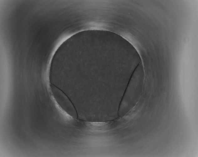 X0000113851152200909241242