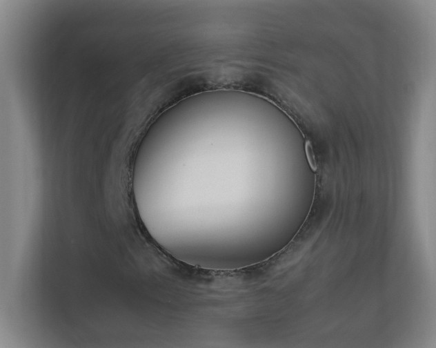 X0000113851153200909241241