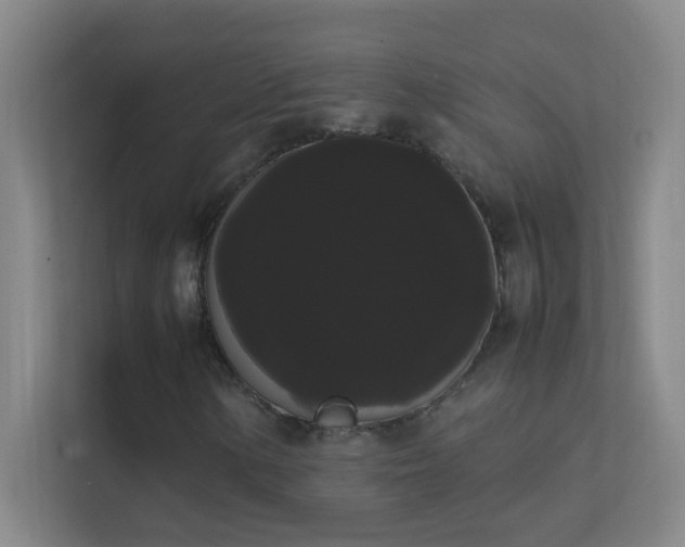 X0000113851154200909241241