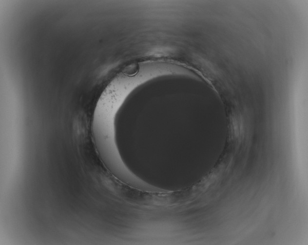 X0000113851158200909241241