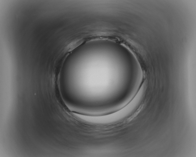 X0000113851161200909241241