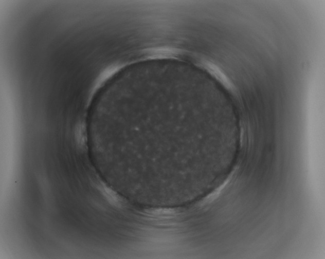 X0000113851164200909241241