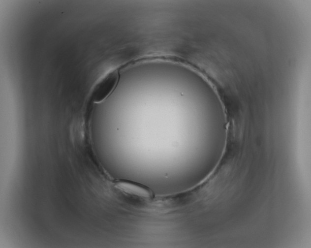 X0000113851165200909241241