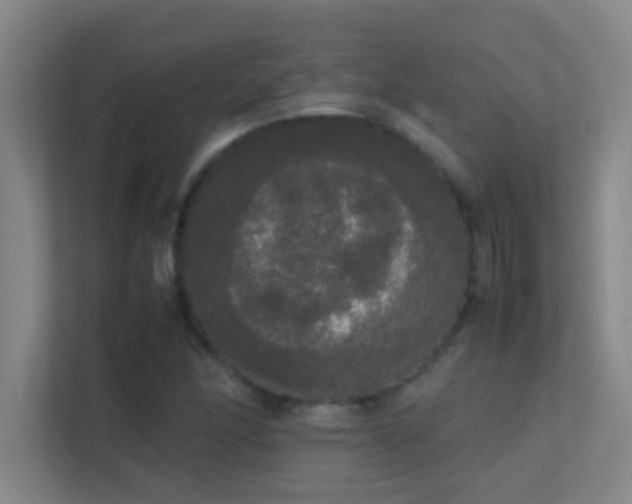 X0000113851166200909241241