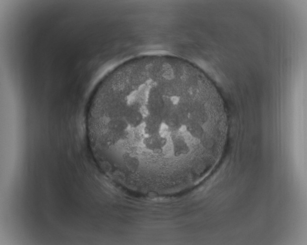 X0000113851167200909241241