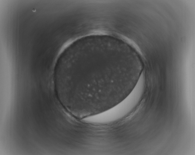 X0000113851168200909241241