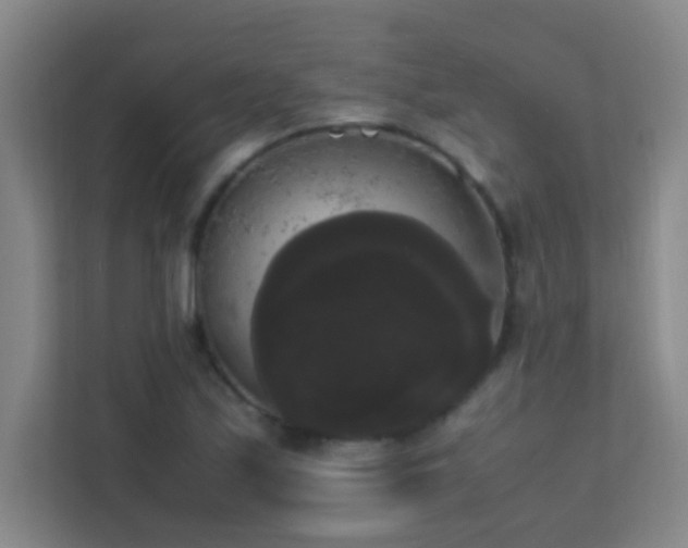 X0000113851171200909241241