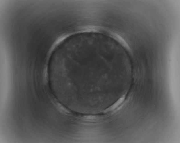 X0000113851172200909241241