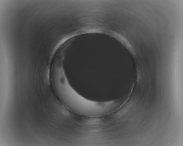 X0000113851174200909241241