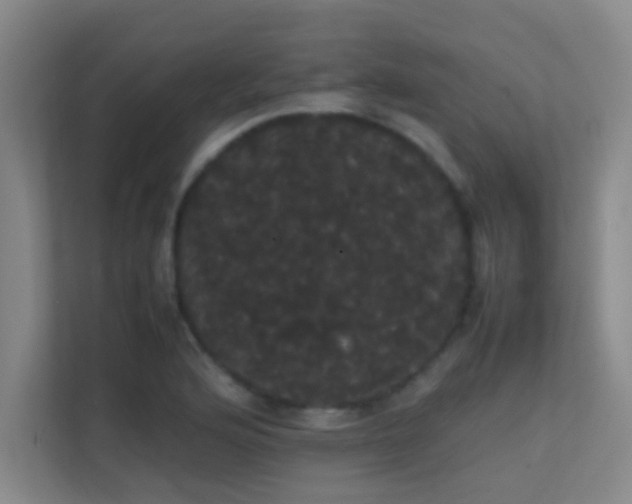 X0000113851176200909241241