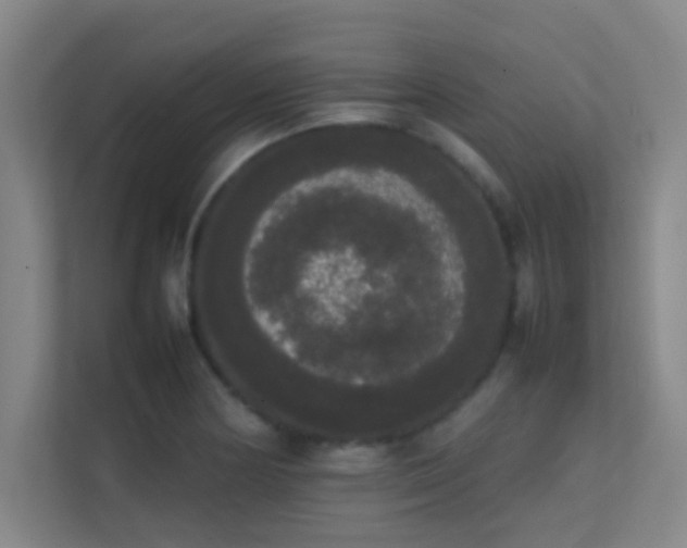 X0000113851178200909241241