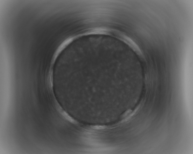 X0000113851180200909241241