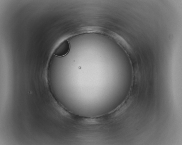 X0000113851182200909241241