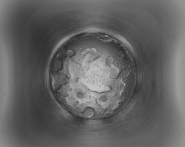 X0000113851183200909241241