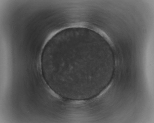 X0000113851184200909241241