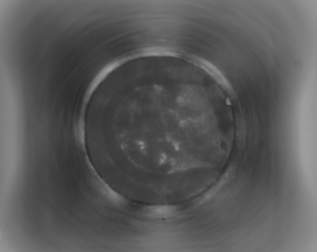 X0000113851188200909241241