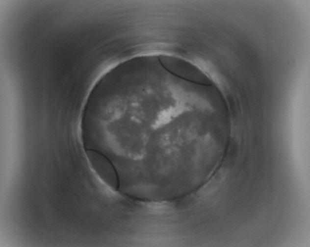 X0000113851189200909241241