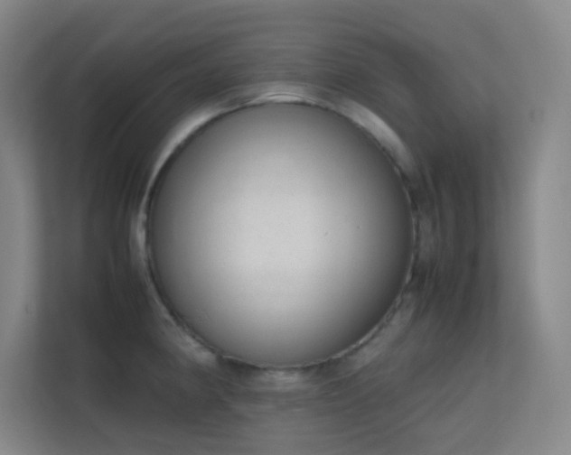 X0000113851190200909241241