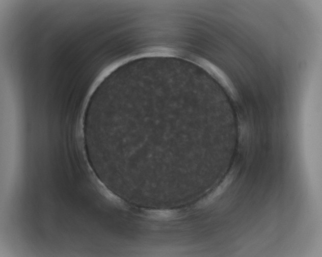 X0000113851192200909241241