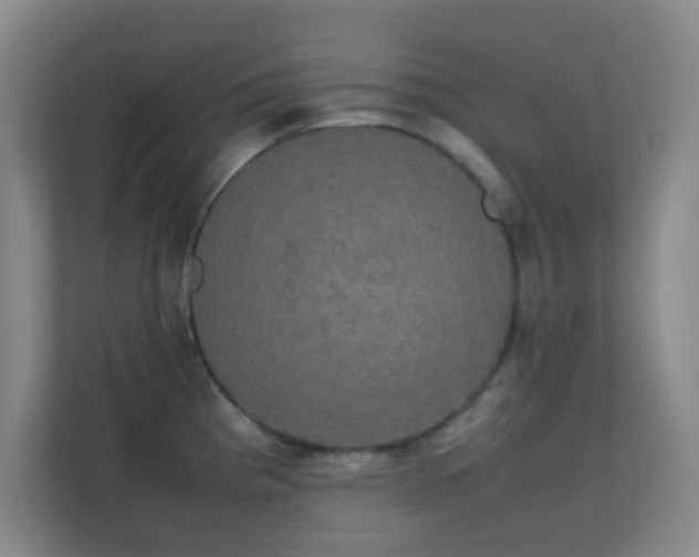 X0000113851193200909241241