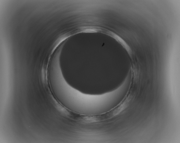 X0000113851194200909241241