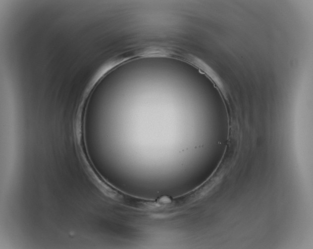 X0000113851195200909241241