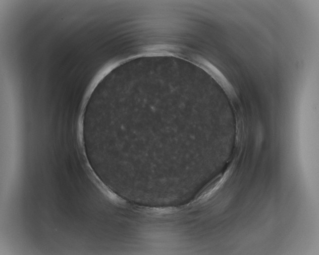 X0000113851196200909241241