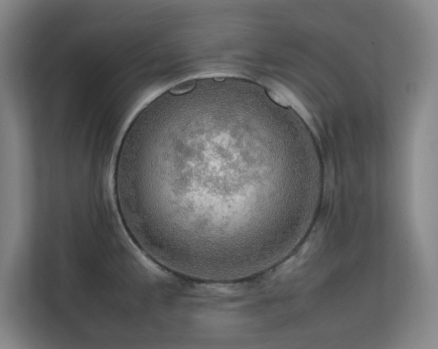 X0000113851197200909241241