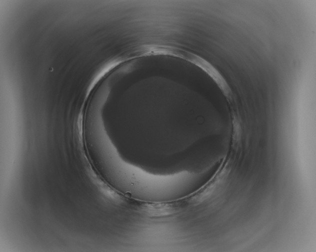 X0000113851198200909241241