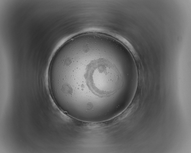 X0000113851199200909241241