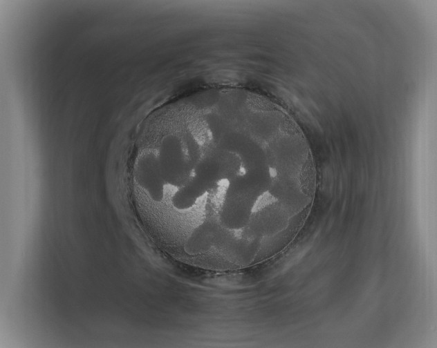 X0000113851201200909241240