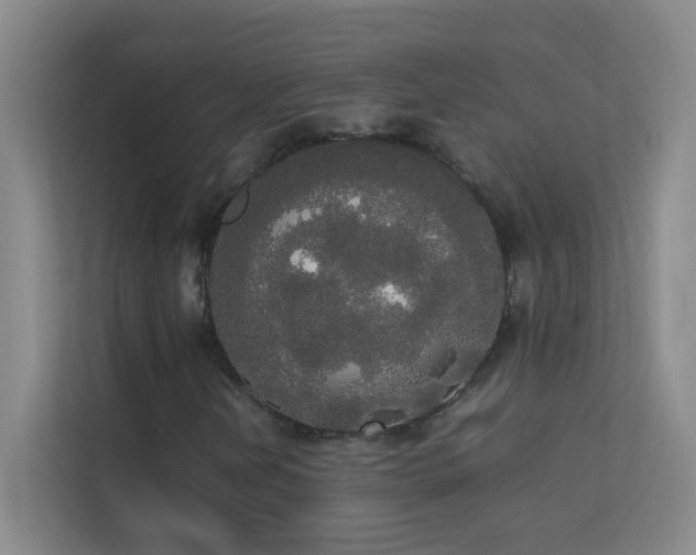 X0000113851202200909241240