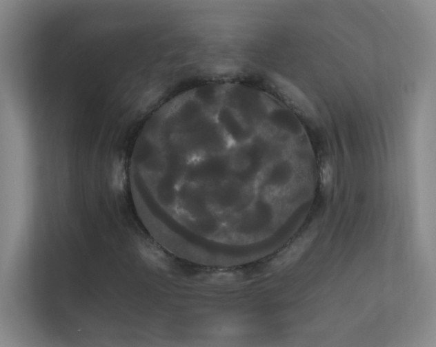 X0000113851204200909241240