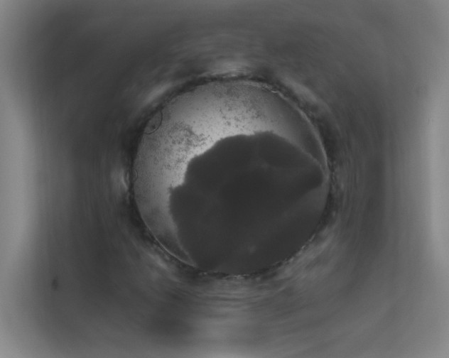 X0000113851206200909241240