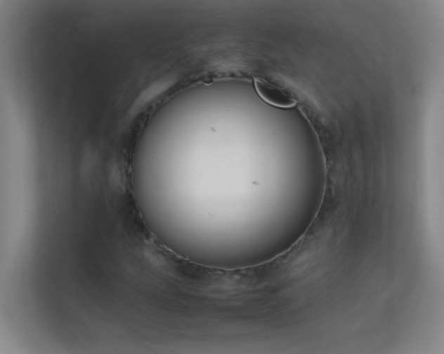 X0000113851207200909241240