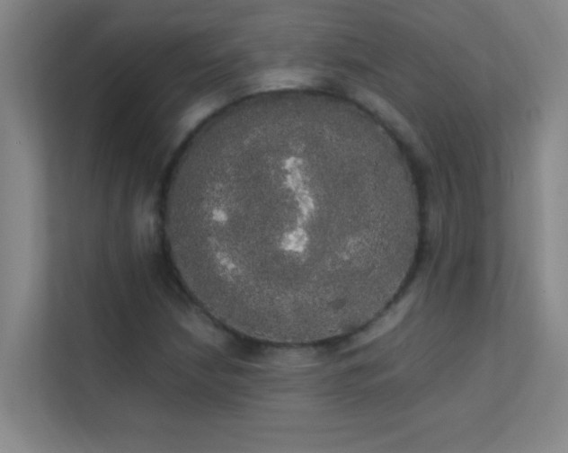 X0000113851210200909241240