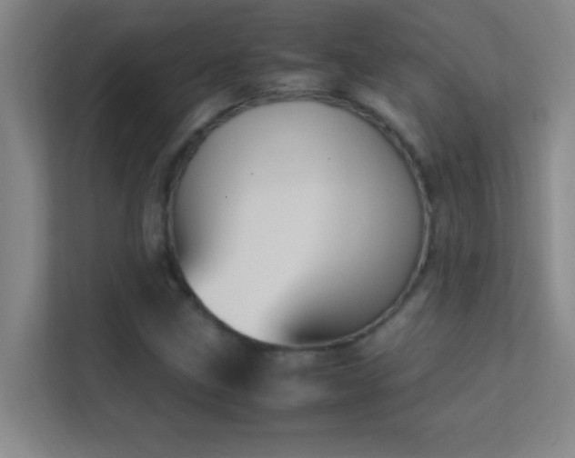 X0000113851211200909241240