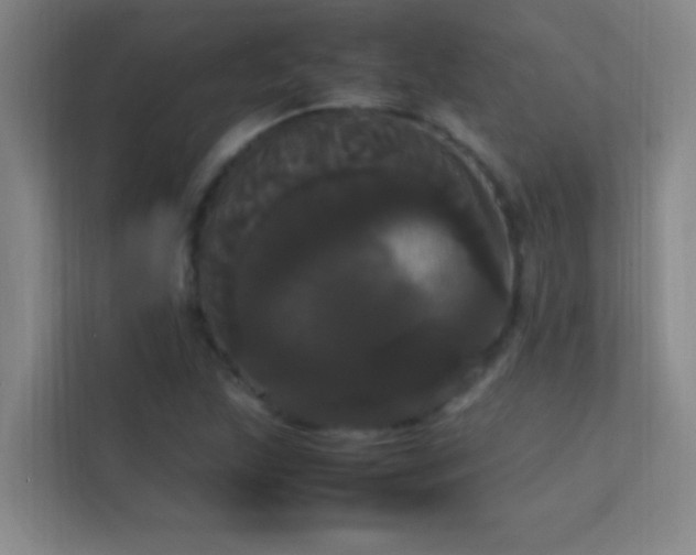 X0000113851215200909241240