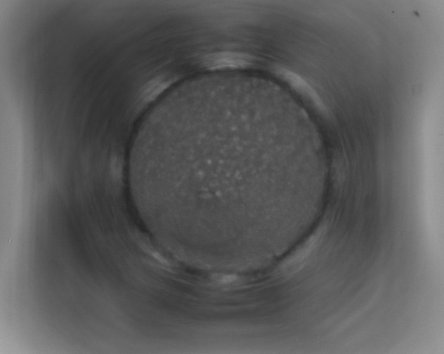 X0000113851217200909241240