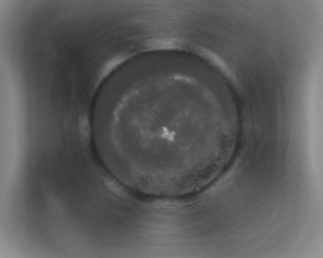 X0000113851218200909241240