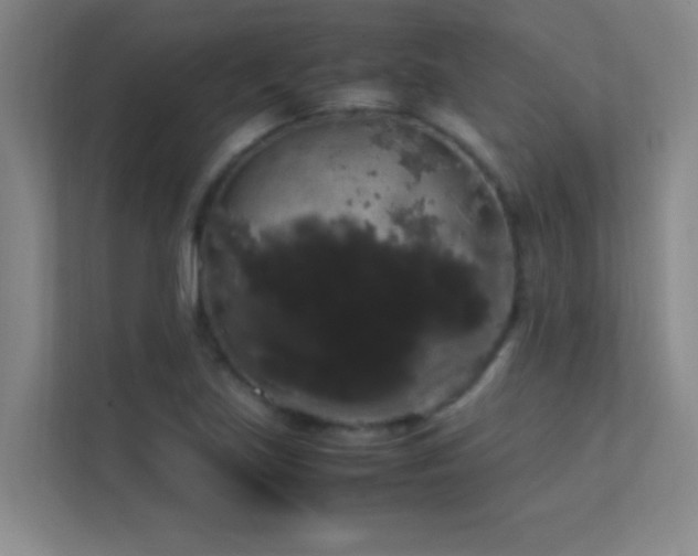 X0000113851219200909241240