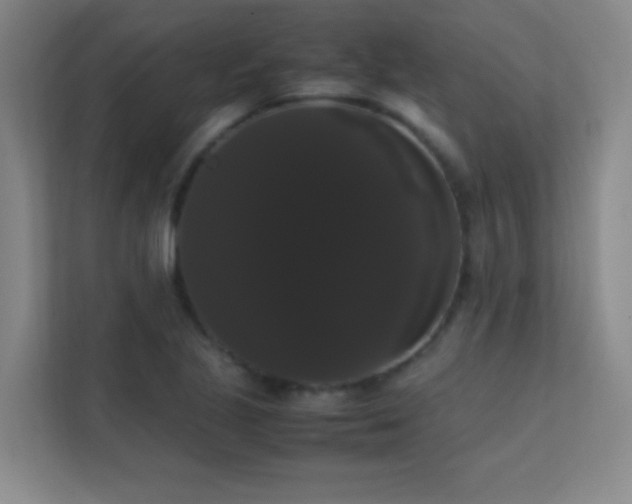 X0000113851221200909241240