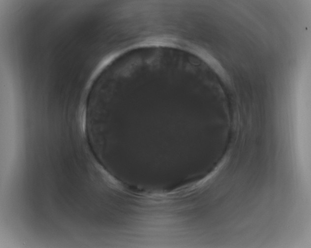 X0000113851224200909241241