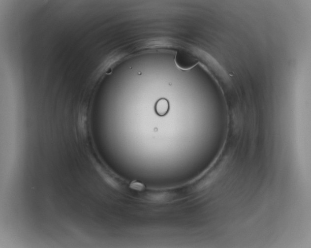 X0000113851225200909241241