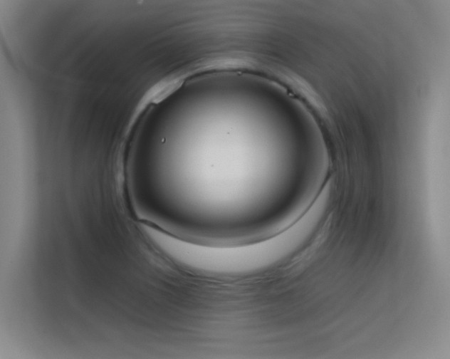 X0000113851226200909241241