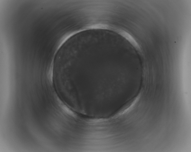 X0000113851228200909241241