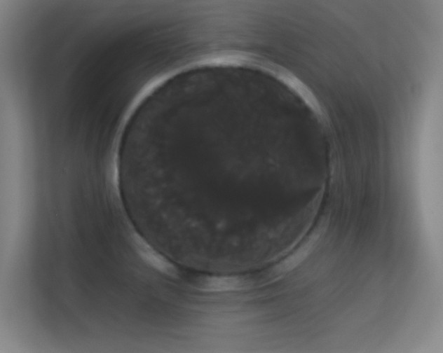 X0000113851232200909241241