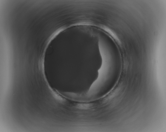 X0000113851237200909241241