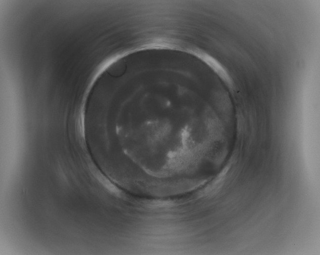 X0000113851238200909241241